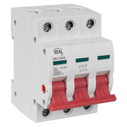 Hauptschalter,<BR>3-polig,<BR>63A,<BR>3 TE