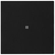 Wippe,<BR>f�r Kontroll-Taster,<BR>neue Generation,<BR>Standard 55,<BR>schwarz matt