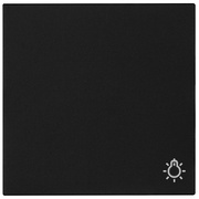 Wippe,<BR>mit Symbol,<BR>neue Generation,<BR>Standard 55,<BR>schwarz matt