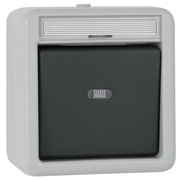 AP/FR,<BR>Kontroll-Wechsel-Schalter,<BR>grau/dunkelgrau