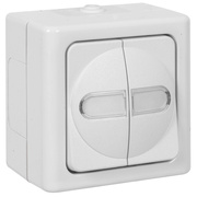 AP/FR,<BR>BLUE ELECTRIC,<BR>arktiswei