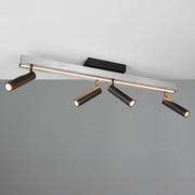 Deckenleuchte,<BR>ZENO,<BR>4 x LED/5,5W,<BR>1 x LED/12W