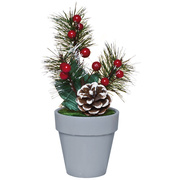 Weihnachtsb�umchen