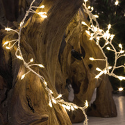 LED-Lichterkette, Cluster,<BR>1.440 warmwei�e LEDs,<BR>silberner Draht