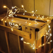 LED-Minilichterkette,<BR>100 warmwei�e und<BR>superwarmwei�e LEDs,<BR>Clusterlight