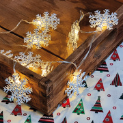 LED-Minilichterkette,<BR>10 warmwei�e LEDs,<BR>Flocken