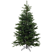 Weihnachtsbaum,<BR>H 1.800