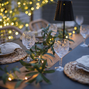 LED-Dekogirlande,<BR>OLIVEC,<BR>20 warmwei�e LEDs